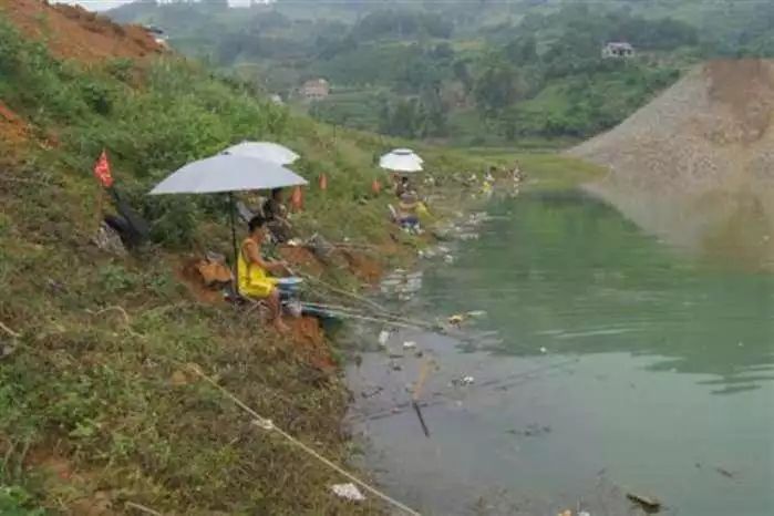 太原最新免费野钓地点大全，钓鱼爱好者的指南