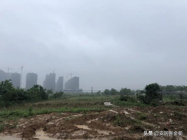 衢州土地拍卖最新概况速览