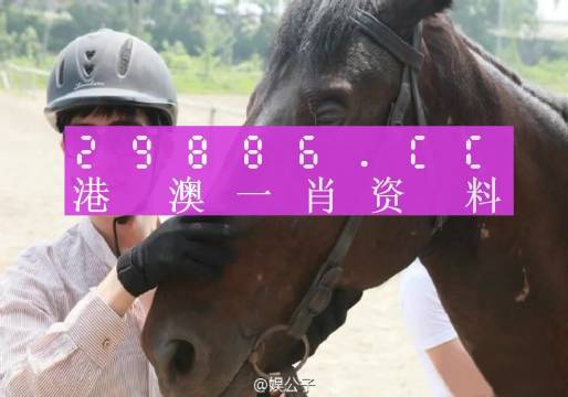 一肖一码澳门,正确解答落实_钻石版2.823