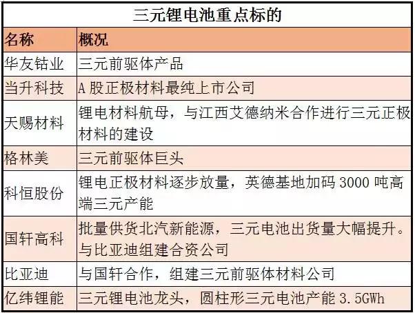 2024新澳门免费原料网大全,广泛的关注解释落实热议_娱乐版305.210