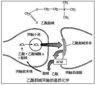 家具制造 第152页