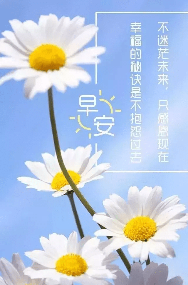 最新早安图片集锦，唤醒美好一天的温馨视觉盛宴