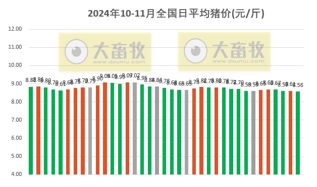 广东今日生猪价格动态分析