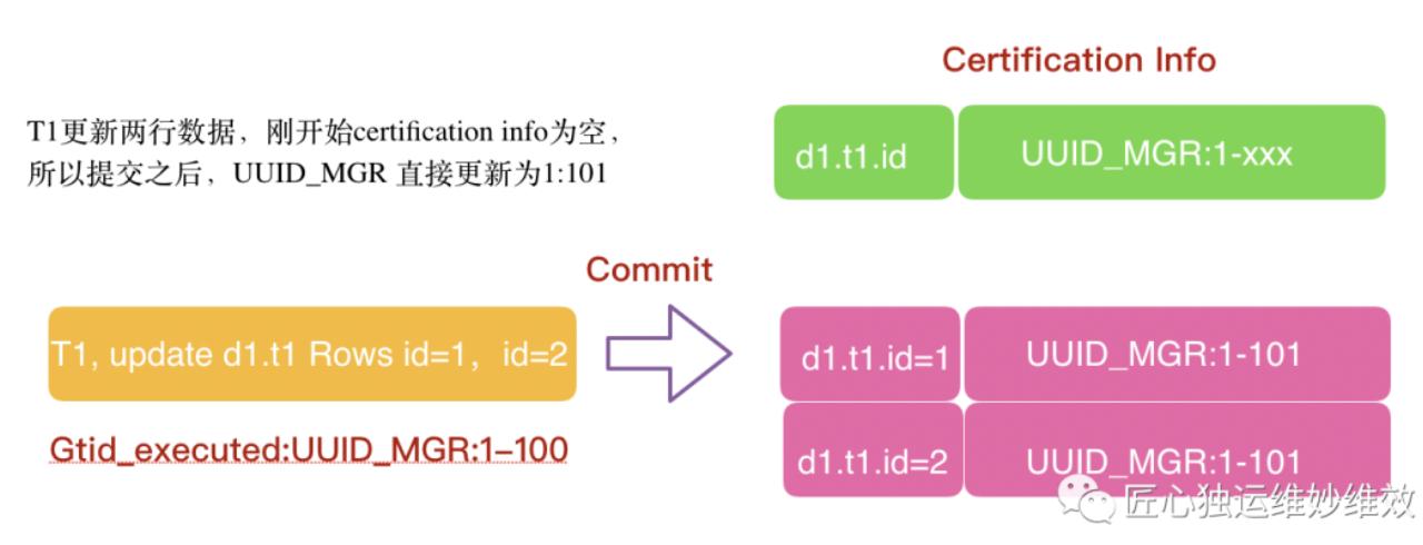 MySQL数据库最新版本的特性革新与技术概览