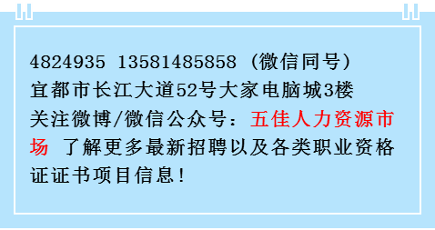 宜都招聘动态更新与职业发展机遇挑战解析