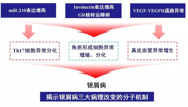 银屑病研究的最新进展与突破