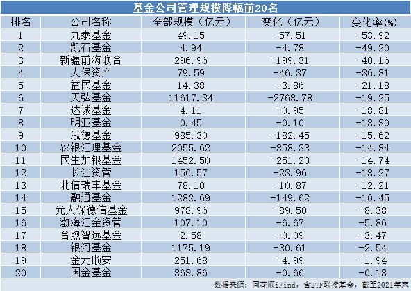 基金最新排行揭示市场潜力与价值走向探索