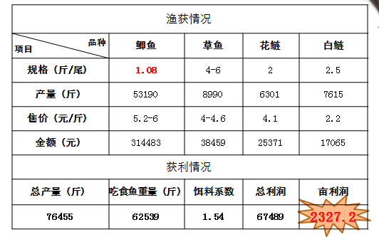 鲫鱼市场最新价格动态及走势与影响因素分析概览