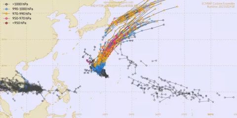 关于台风最新动态报告，关注台风动向，加强防范措施——台风20号最新消息关注通知