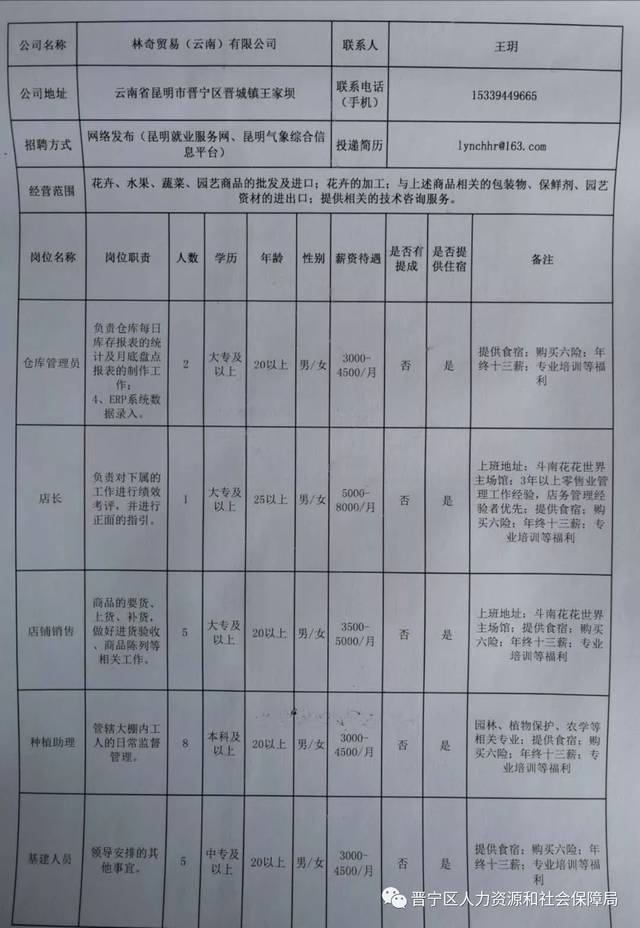 昆明国企最新招聘动态，引领就业市场新趋势及其社会影响