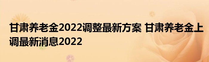 甘肃养老金最新动态全面解析